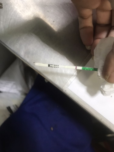 ครวจครรภ์