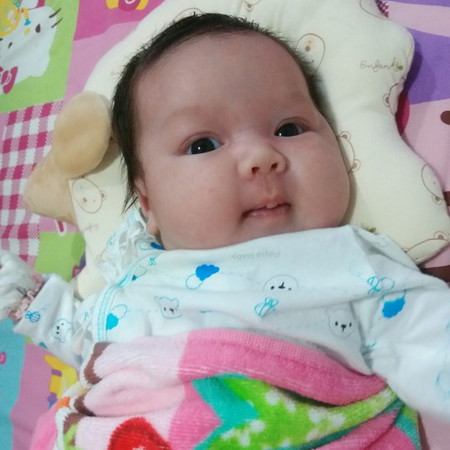 ตุ๊กตาลูกหมู