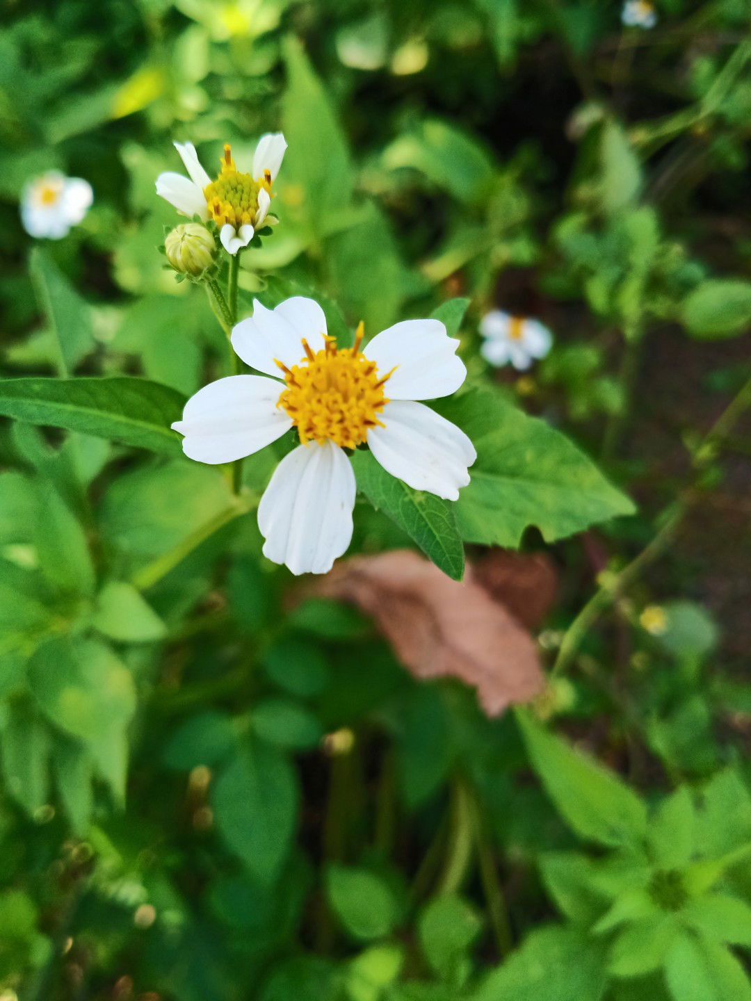 jiratha profile icon