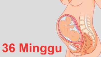 HPL 17 JULI 2020😍