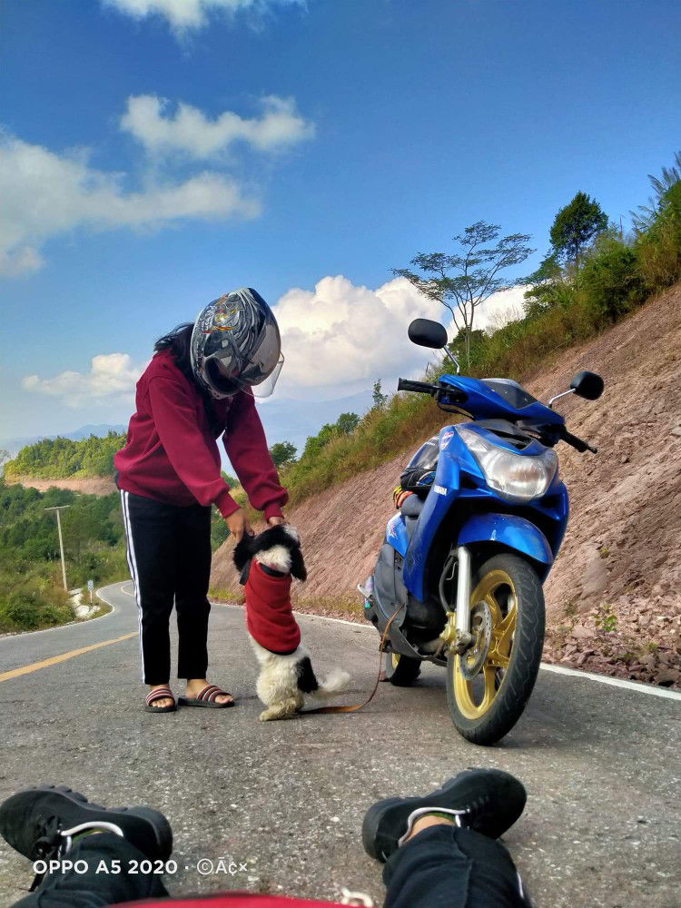 netnapha profile icon