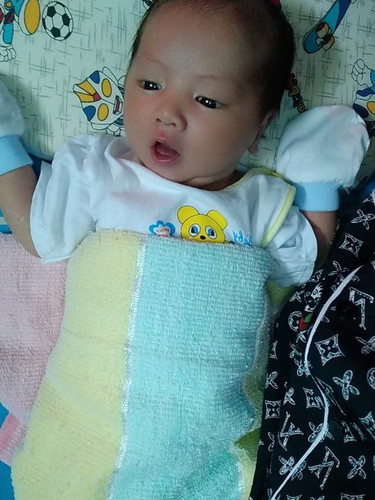 Chuột Tháng 3