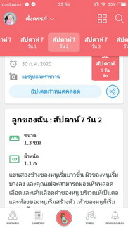 7สัปดาหฺ์