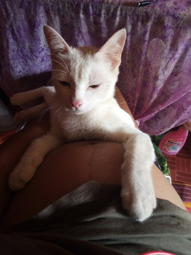 ขอดูท้องแม่ๆเดือนพฤษภาหน่อยคะ