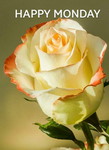 พิมพ์พัชชา profile icon