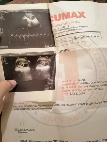14 Weeks pelvic Ultrasound.