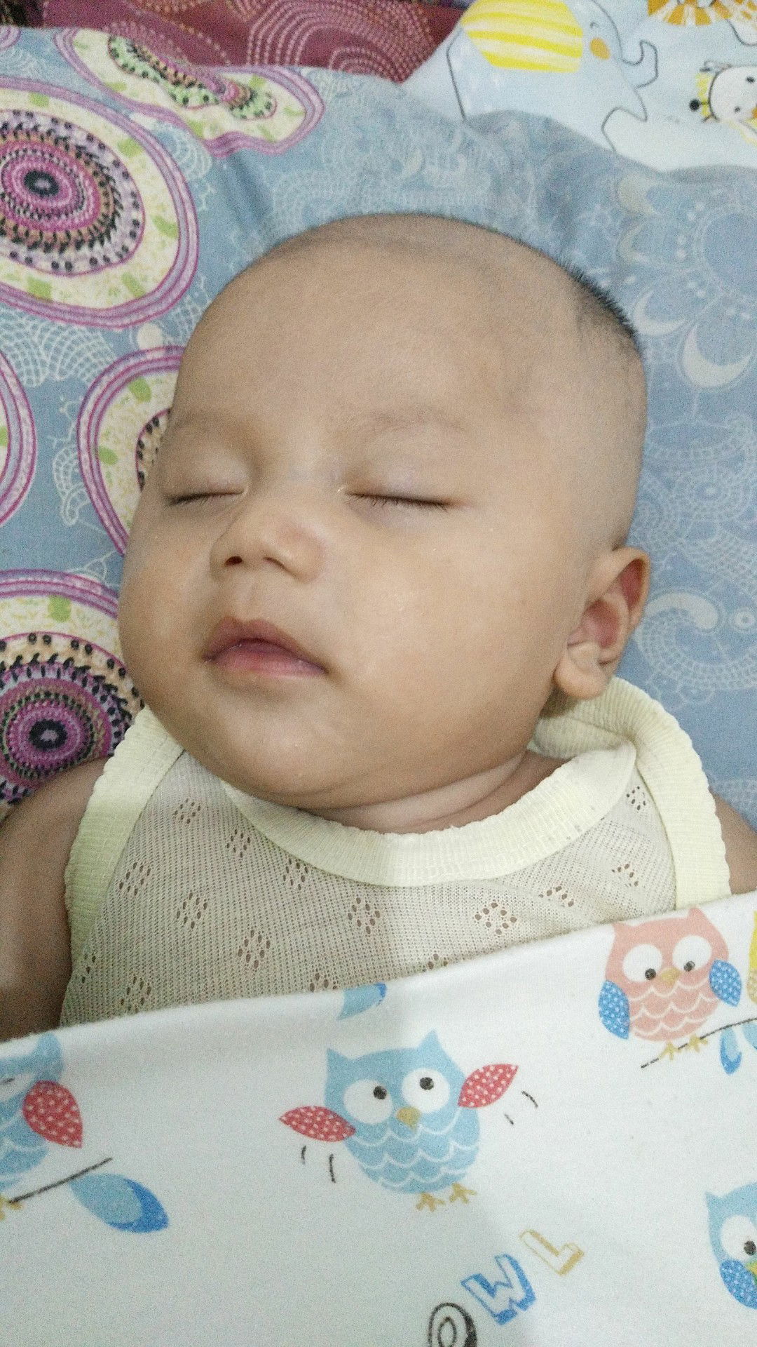 Dede Novita profile icon