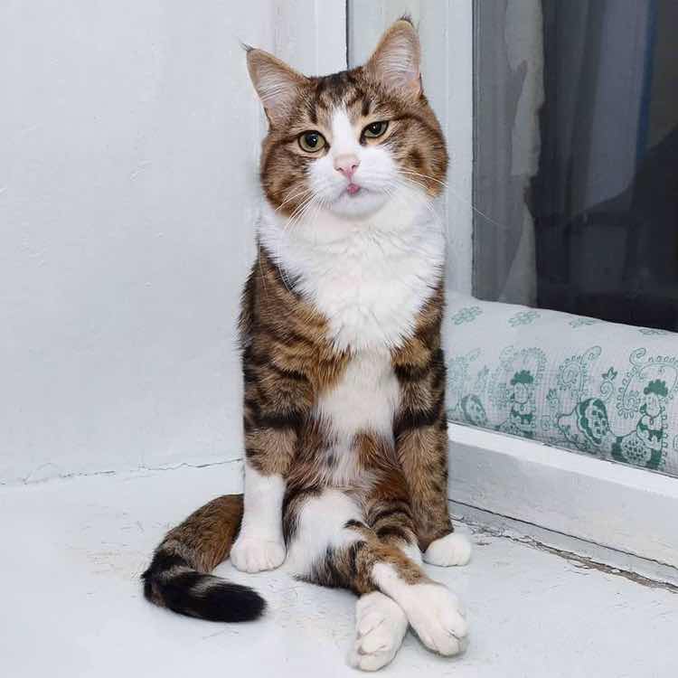 Saendaw Worawang profile icon