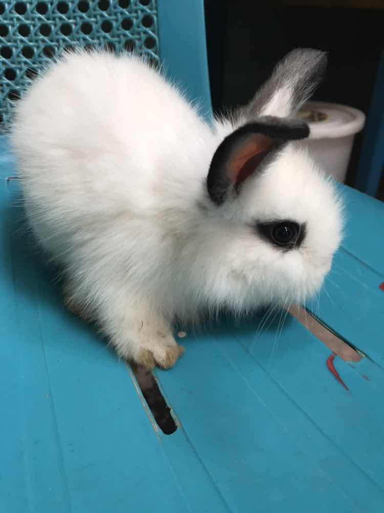 mamamia profile icon