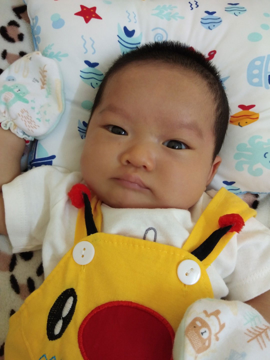 สกาวเดือน มนตรี profile icon