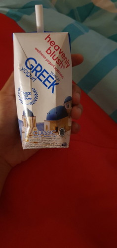 yogurt untuk ibu hamil
