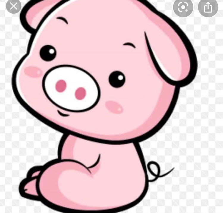 littlebear profile icon