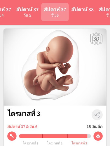 ศุกร์นี้ 17 ก.ค. จะผ่าแล้ว