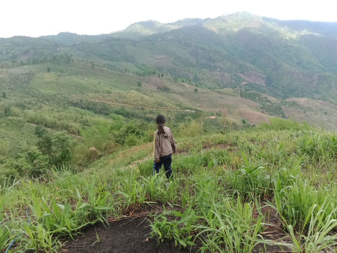 คุณเเม่วัยใส profile icon