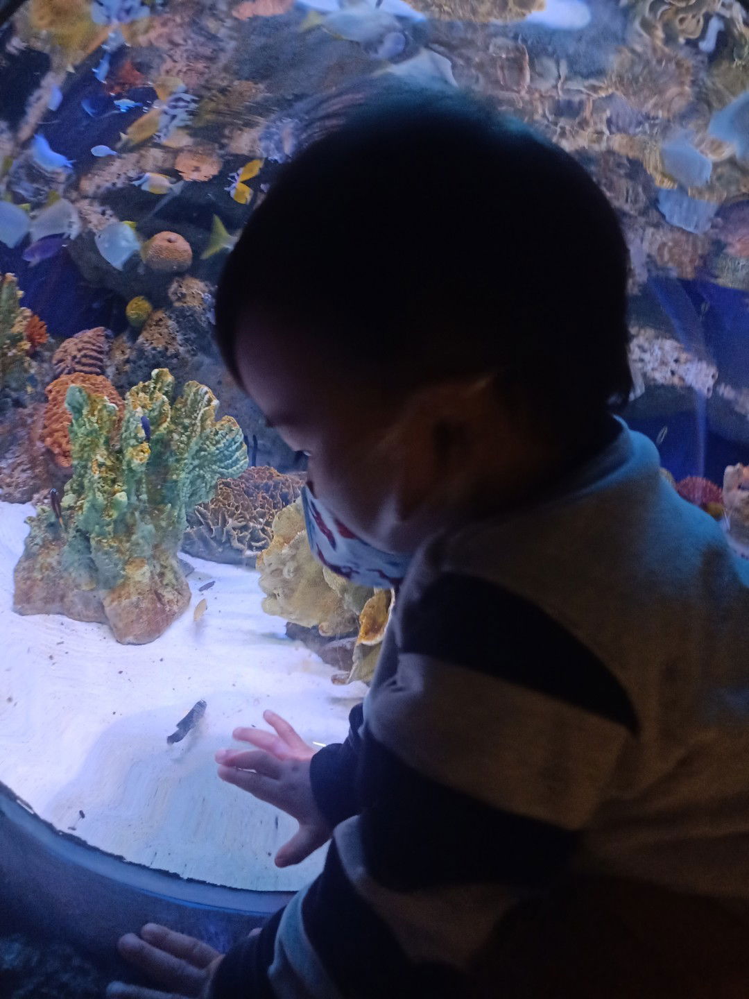 Jiraphat profile icon