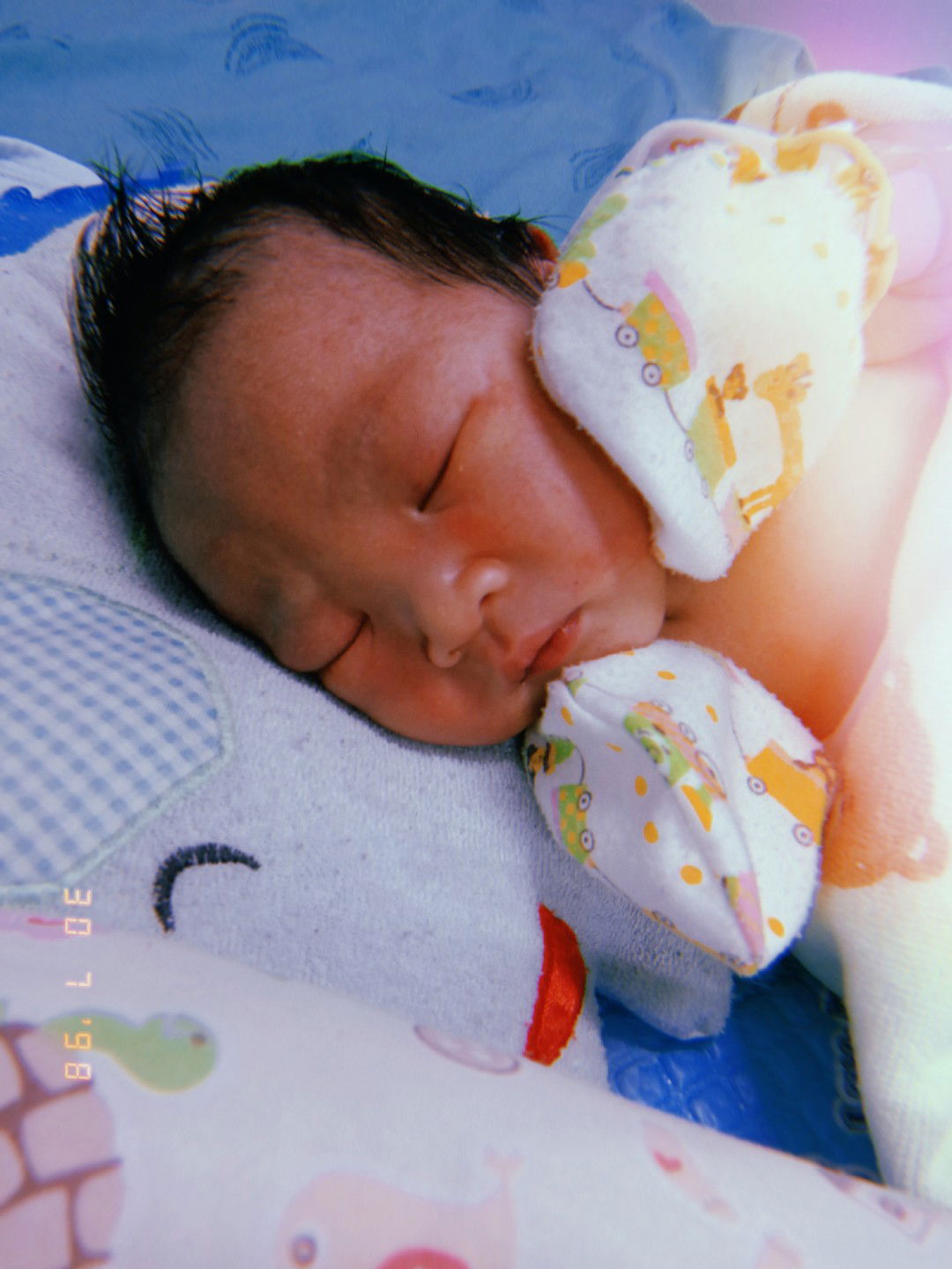 ปลา profile icon