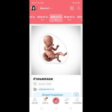 การตั้งครรภ์