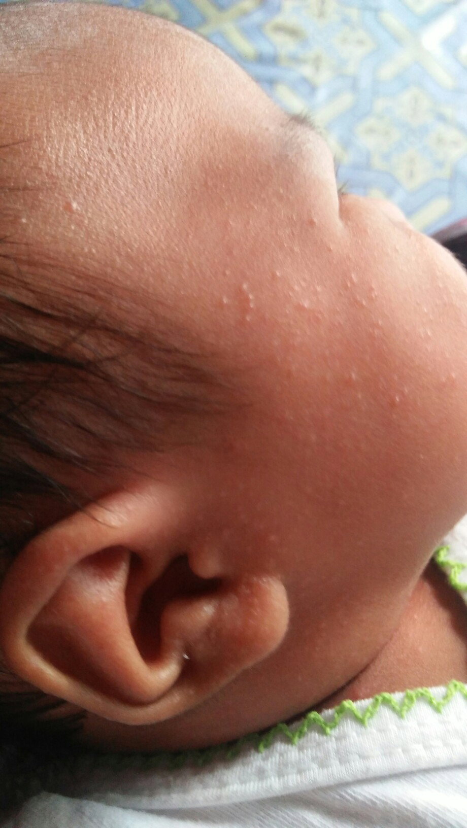 seputar bayi