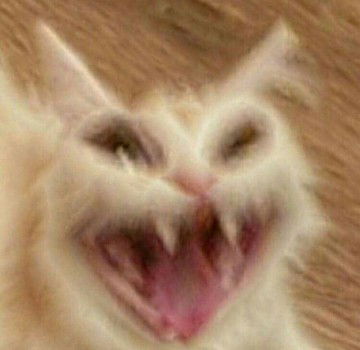 FbrnFrnt profile icon