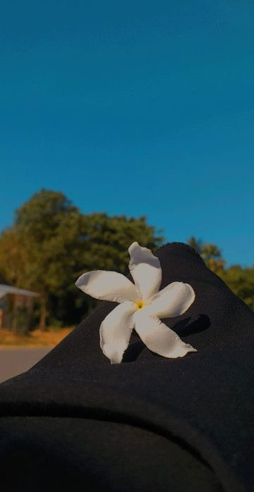 Kannsanisa profile icon