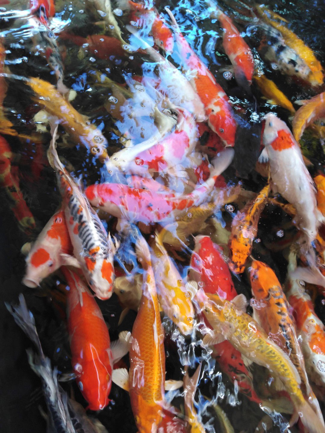 HUAWEI.y7wei Huawei profile icon