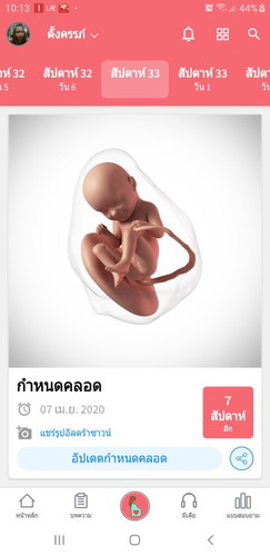 ทีมเมษาจ้า
