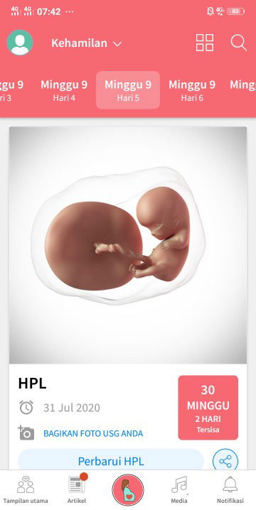 Seputar Kehamilan