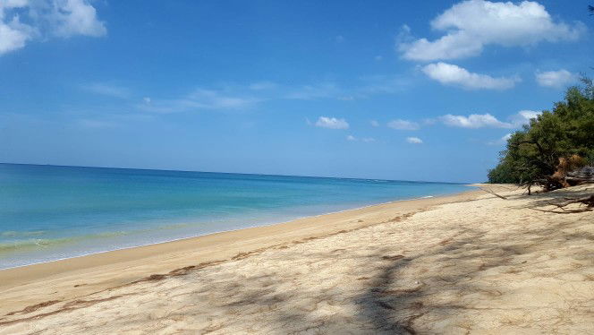 ธัญญ่า profile icon