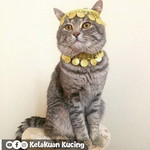 Ningsih profile icon