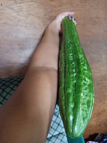 tanung ko lang po.