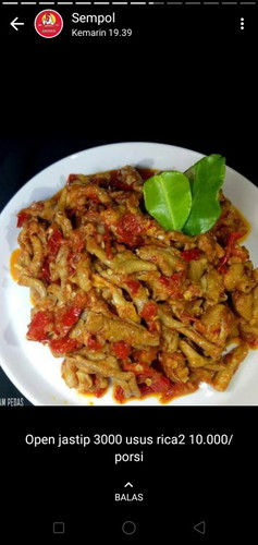 usus ayam
