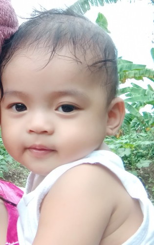 tulog manok