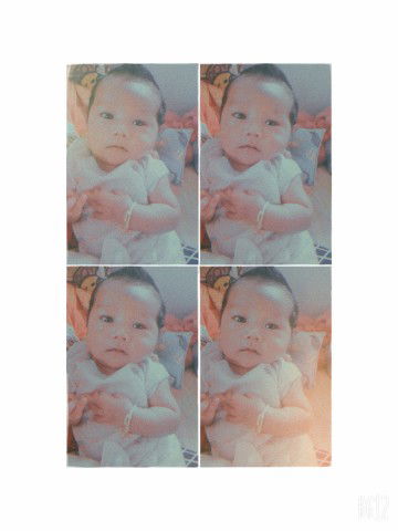 ใบเฟิร์น profile icon