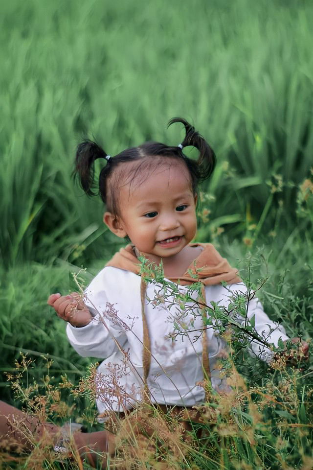 Lala Meneses profile icon