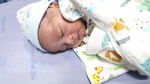 Nualsiri Wisitsin profile icon