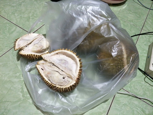 Makan Durian