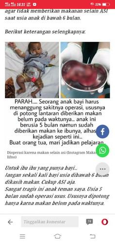 info penting biar berkurang yang nanya,bu byi 1 bln bleh dksih mkan,bun byi 3 bln blh dksih mkan gk