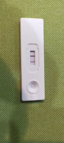 pregnant k ni