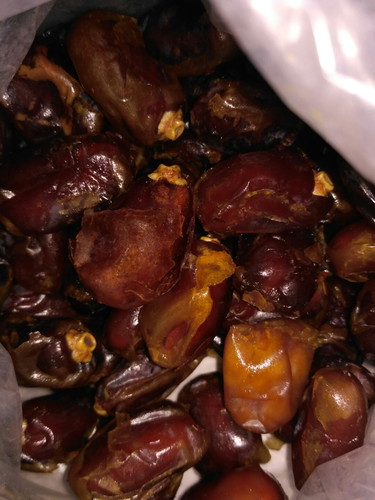 kurma
