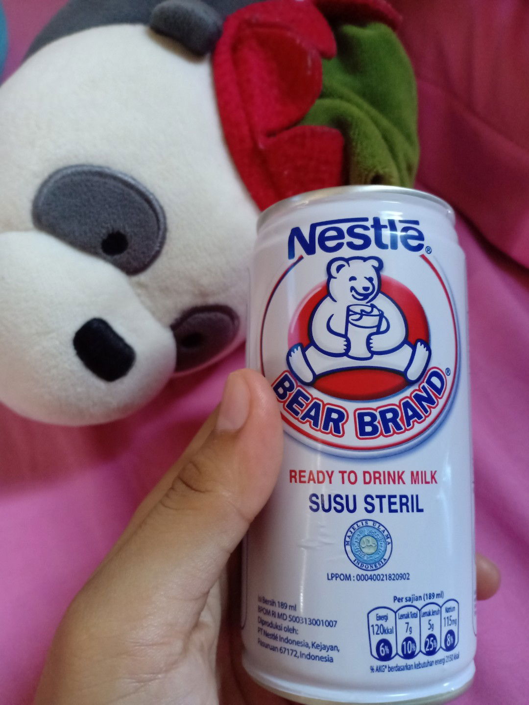 bear brand milk
