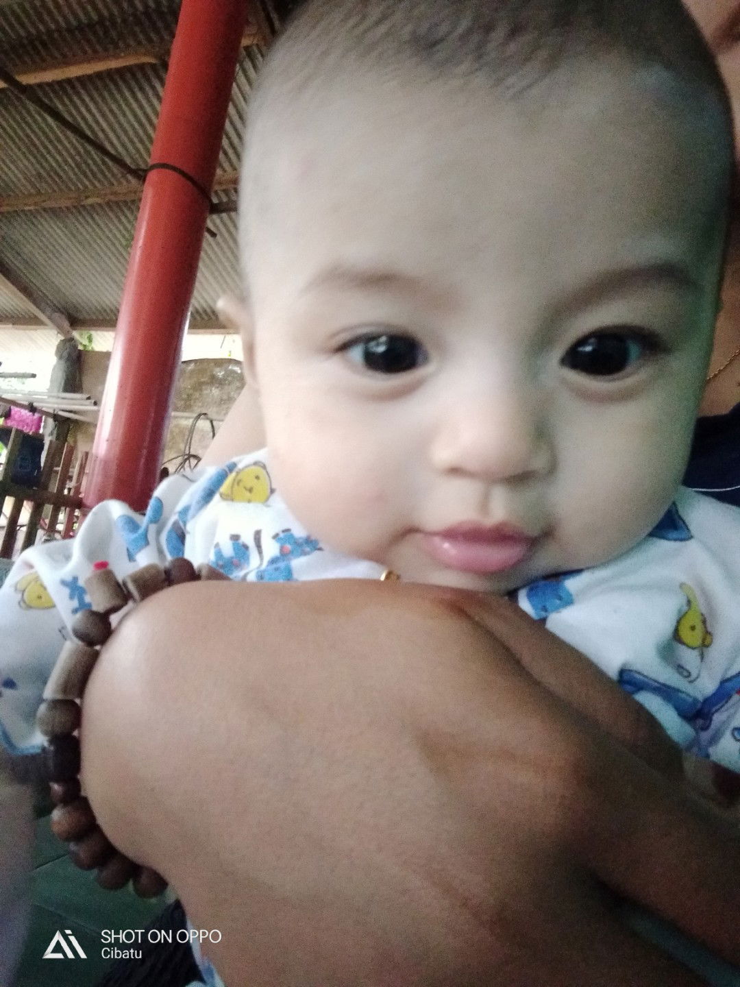 bayi 3 bulan