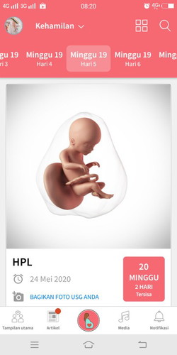 usia kehamilan 19week