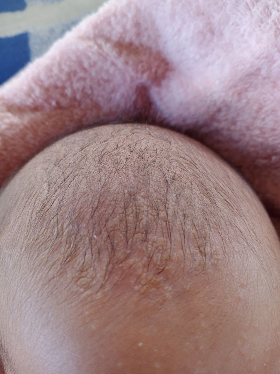 ขอคำปรึกษา