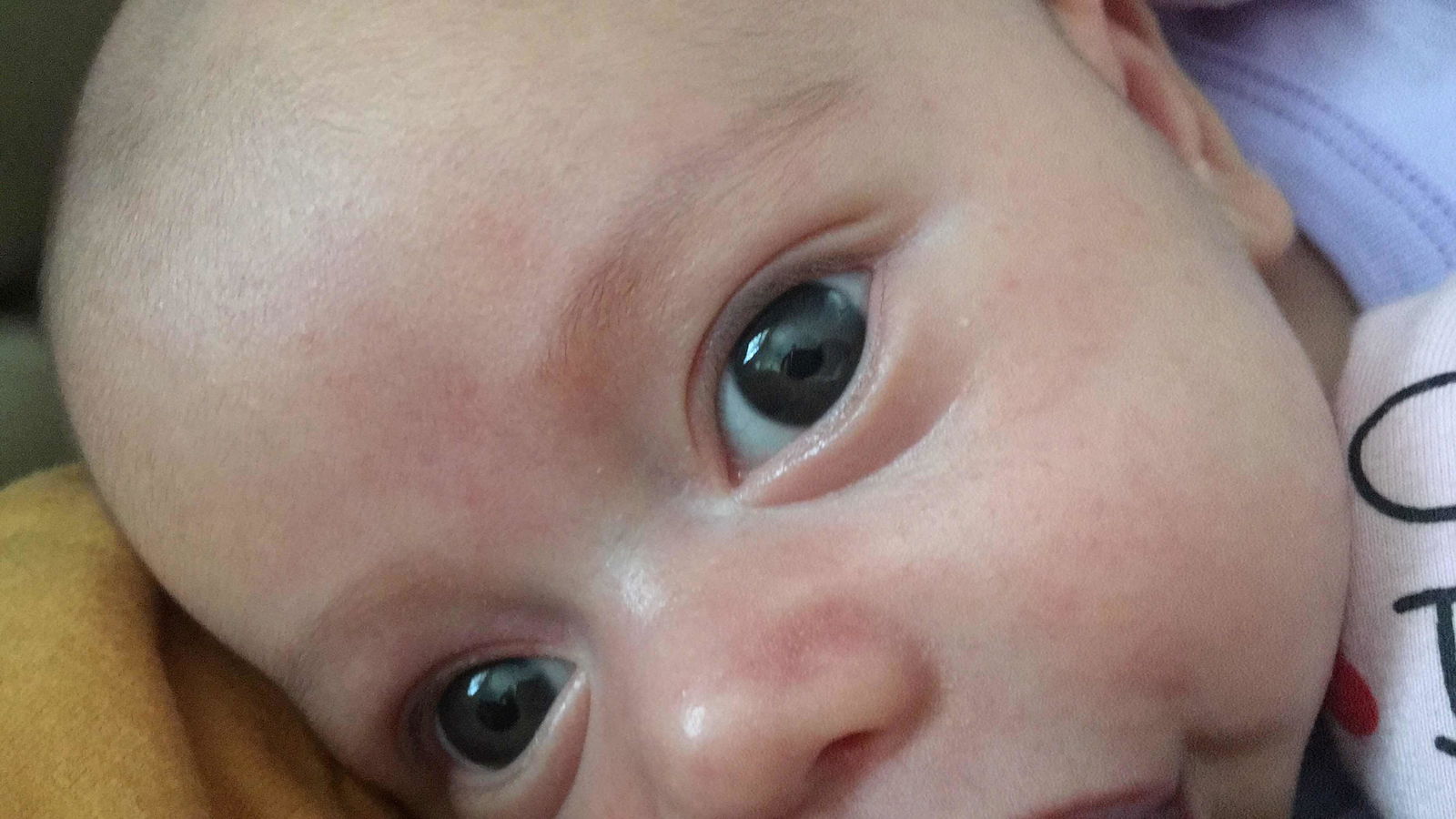 Faradillah binti Md Ramli profile icon