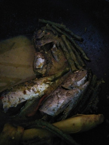 ikan tongkol