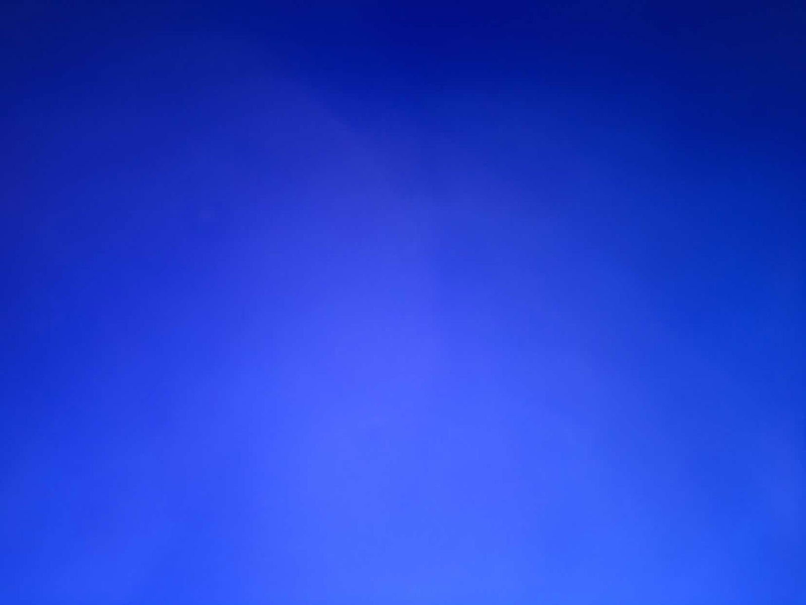 แมว เหมียว profile icon