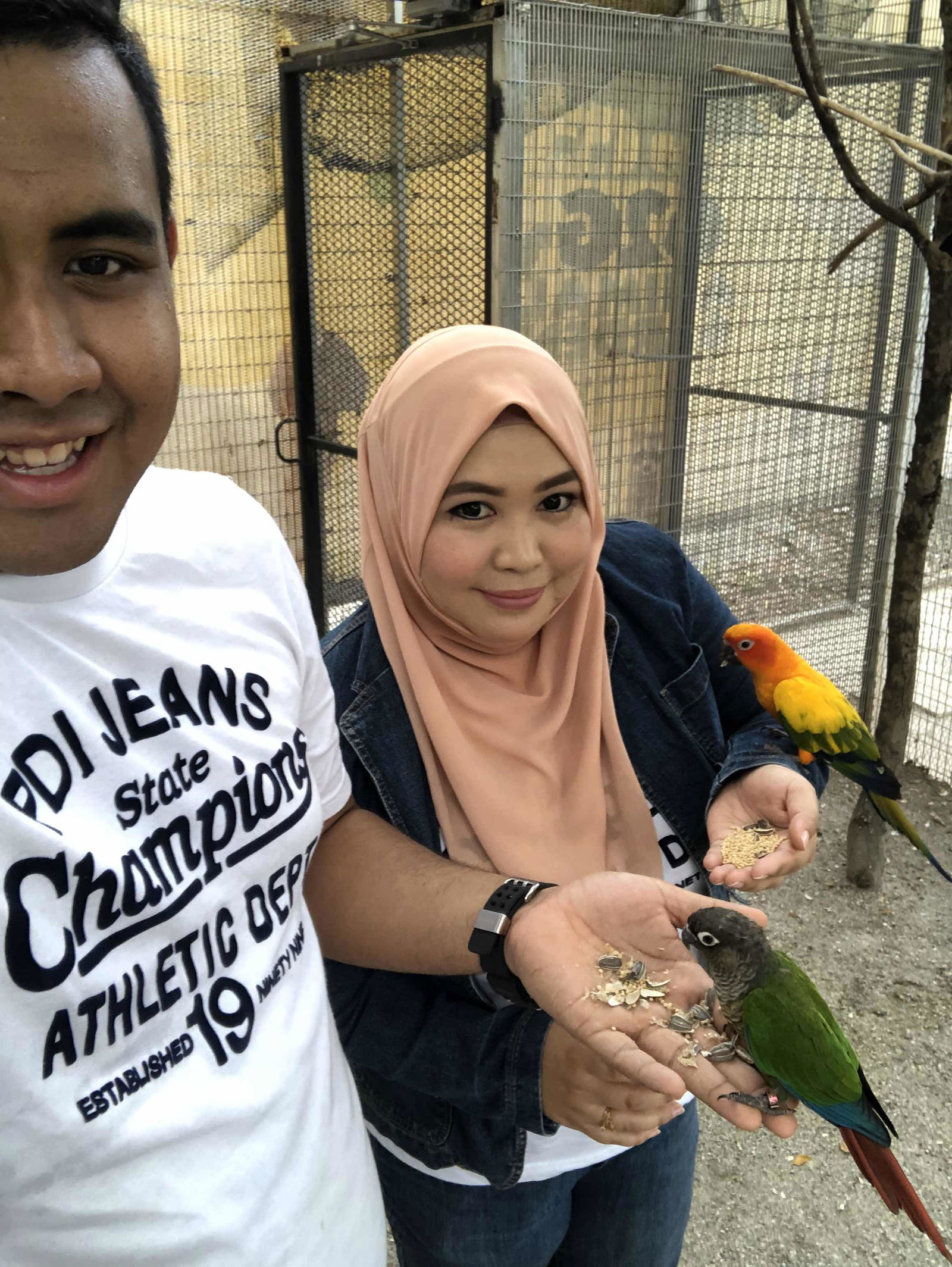 Diya Dania profile icon