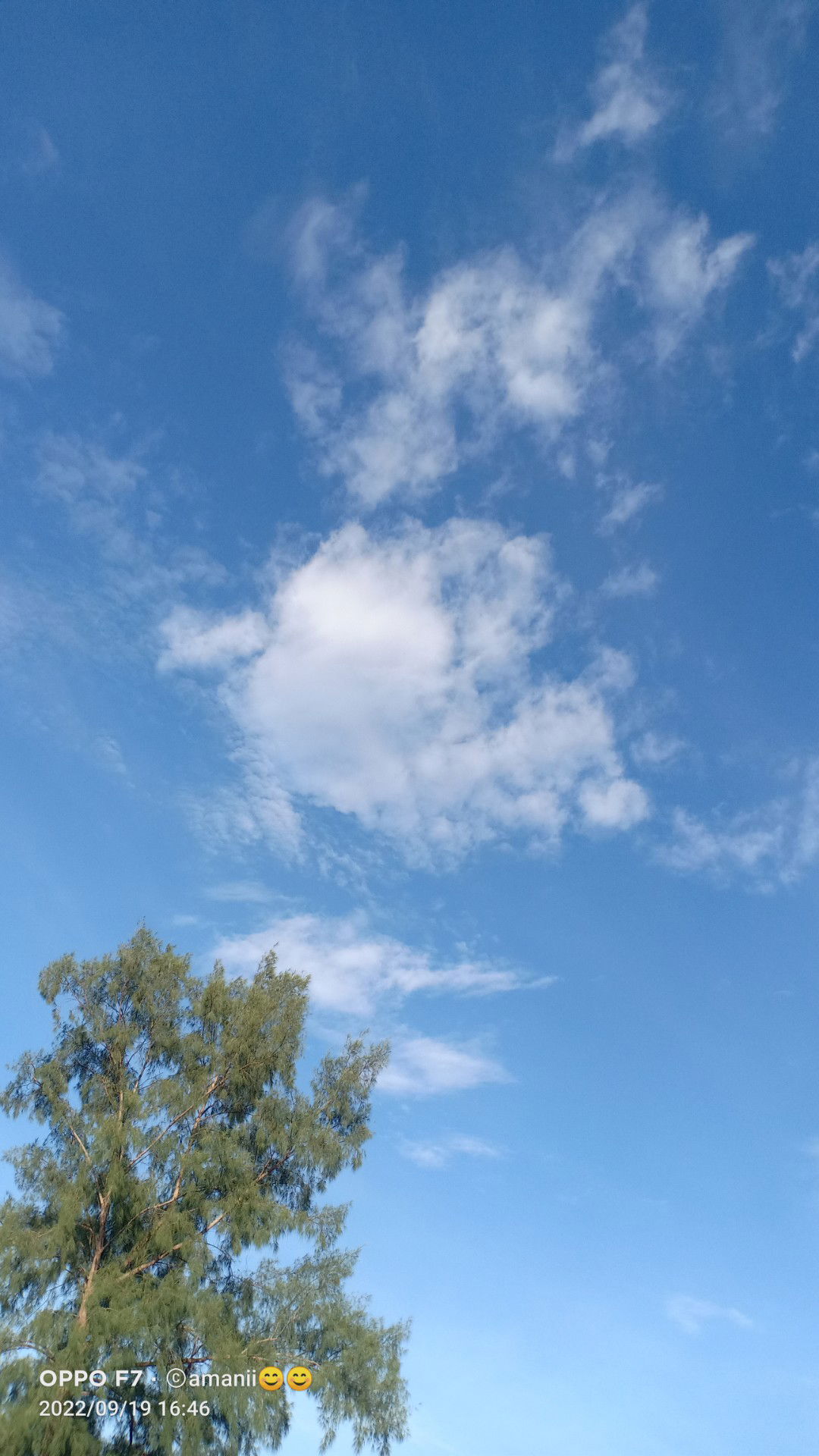 SU Mai Yah profile icon