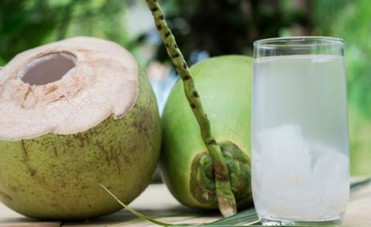 Kelapa