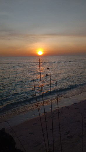 Ashilla profile icon